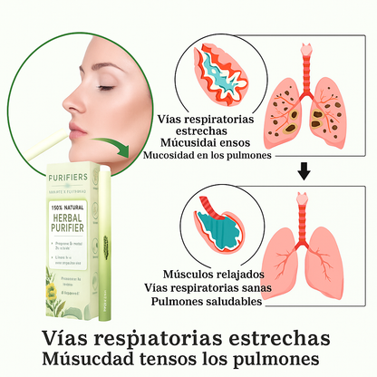 Difusor Herbal de Mullein – Purifica los Pulmones & Refresca el Aliento