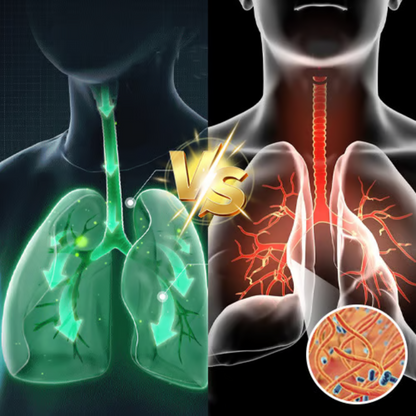 Difusor Herbal de Mullein – Purifica los Pulmones & Refresca el Aliento