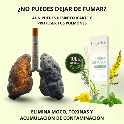 Difusor Herbal de Mullein – Purifica los Pulmones & Refresca el Aliento