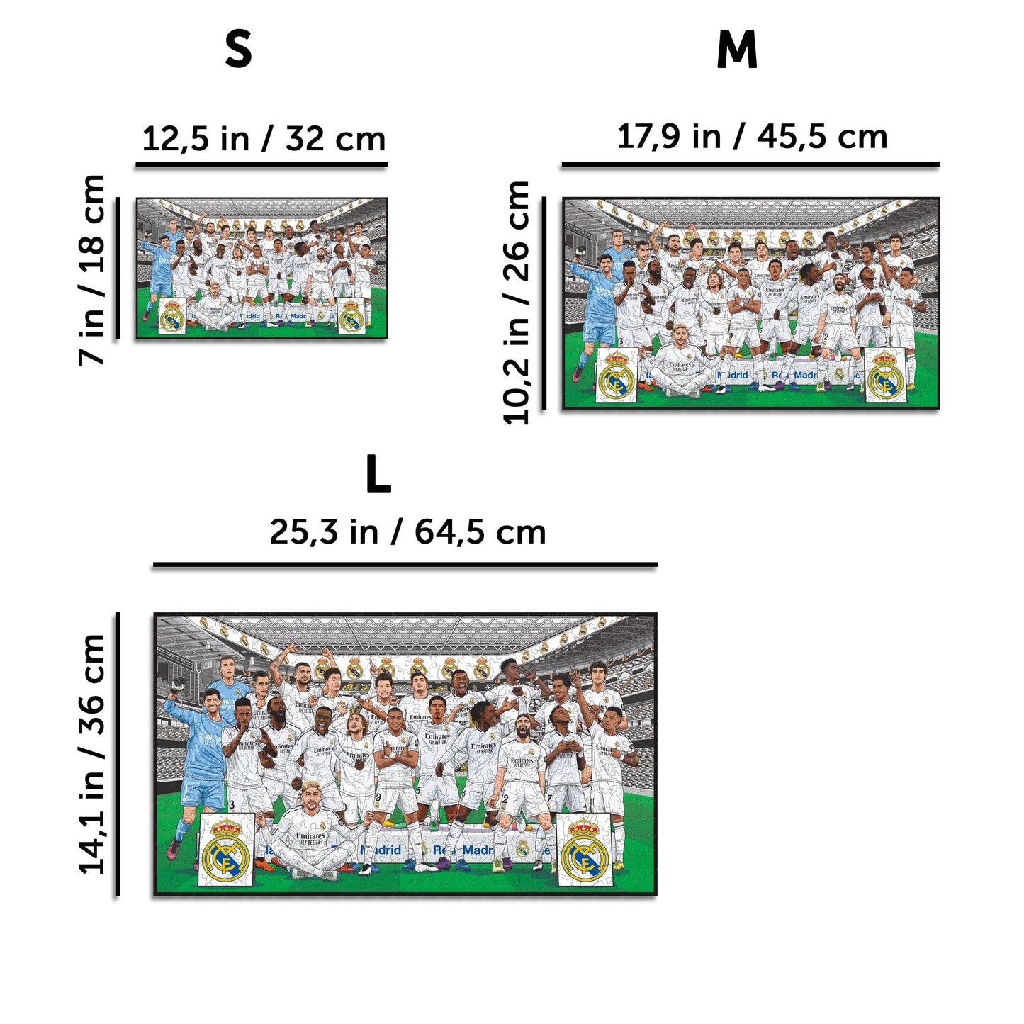 PACK 2 Logotipos del Real Madrid CF® + Equipo
